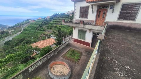 PT Câmara  de Lobos Ilha da Madeira, 1 Bedroom Bedrooms, 4 Rooms Rooms,1,Arkadia,31578