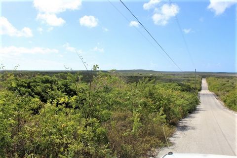 This property is located in the settlement of Scrub Hill. Centrally located close to grocery stores, gas stations, clothing store, public boat ramps and restaraunts. The capital, Clarence Town is only a 10 minute drive south of this property where th...