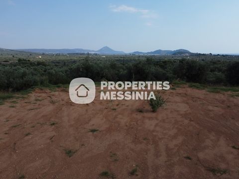 Property Code. 1-38 - Agricultural FOR SALE in Gargalianoi Tragana for €230.000 . Discover the features of this 4115 sq. m. Agricultural: Distance from sea 3200 meters, Distance from the city center: 7000 meters, Distance from nearest village: 600 me...