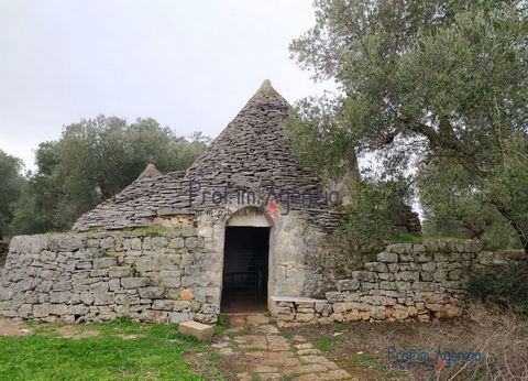 For sale interesting three-cone trullo with two alcoves to be renovated in the countryside of Ceglie Messapica, located in a quiet and reserved area on beautiful land cultivated with centuries-old olive trees. Possibility to make an extension on the ...