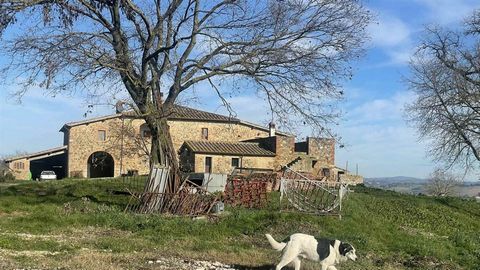 MONTALCINO (SI): Farm of about 51.5 ha with farmhouse and annexes, composed of: - 47.5 ha approx. of arable land on a gentle hillside with a pond for collecting rainwater and spring water; - 4 ha approx. of woodland; - farmhouse of approx. 500 sqm on...