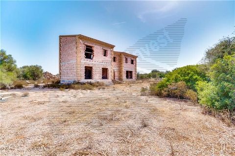 Rustic property on a plot of 240,000 m2 approx. with villa under construction, house built at 70% on 2 floors plus basement, living room, kitchen with exits to terraces and porch, possibility of 6 bedrooms with bathrooms en suite, own well, water, hu...