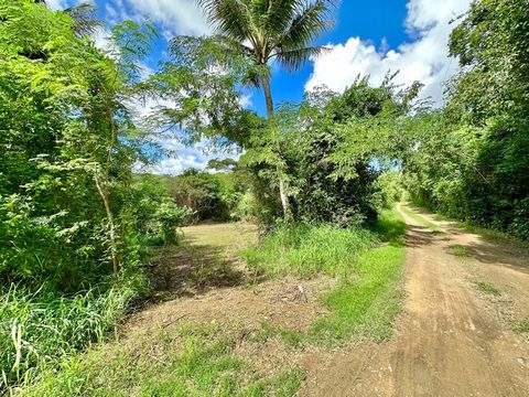 Beautiful land over 2 acres in the Rain Forest. This gently sloping lot, zoned A-2, gives plenty space for an amazing home site as well as multiple agricultural opportunities. A portion on the land has been recently cleared, but there's plenty vegeta...