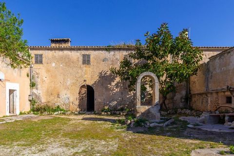 Finca de plus d’un million de mètres carrés, dont plus de la moitié est cultivée, et avec plus de 250 000 m2 de forêts.Cette finca à fort caractère historique est située à mi-chemin entre Manacor et Portocristo sur une petite colline qui offre de mag...