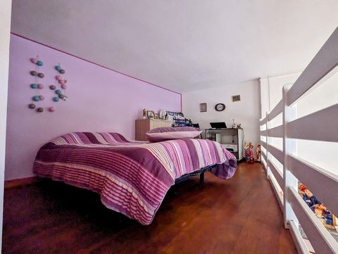 photo no. 9