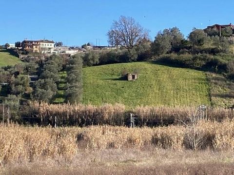 Monterotondo - via della Dogana - wij bieden te koop aan een landbouwgebied van 6400 vierkante meter. Het perceel strekt zich uit over het laatste deel van de heuvel en is bereikbaar via een uitsluitend lokale weg zonder uitweg. Uitstekende blootstel...