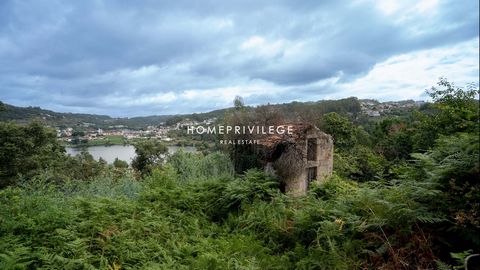 Der Bauernhof Douro befindet sich in Castelo de Paiva, gegenüber den Städten Entre-os-Rios und Torrão. Es besteht aus einem Haupthaus, Hausmeisterhaus, Kapelle, Tenne und zwei Granittanks, Ackerland, Pinienwald und Eukalyptus. Auf dem Bauernhof herrs...