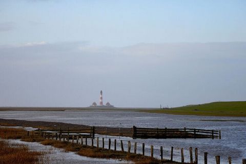 Voel je goed aan zee - op 80 m² (woonkamer/keuken, twee slaapkamers...) en 1000 m² natuurgrond bij het vogelreservaat, uitzicht op de vuurtoren, strandstoel, rust en stilte!