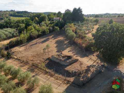 A pochi km. dal centro di Marsciano, in aperta campagna, facilmente raggiungibile percorrendo una strada sterrata, proponiamo in vendita questo piccolo rudere di casolare con possibilità di ampliamento e terreno di circa 2100mq. Posizione panoramica....