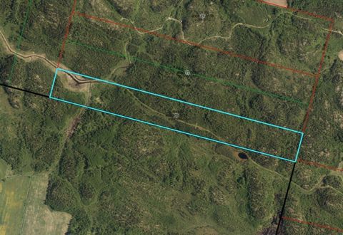 Profitez de cette opportunité pour acquérir un terrain/lot à bois à proximité. Situés dans la belle ville de St-Ambroise, ces lots à bois vous offrent un zonage intéressant ! Résidentiel, bi-familiale, Résidentiel-Villégiature ou encore forestier. Qu...