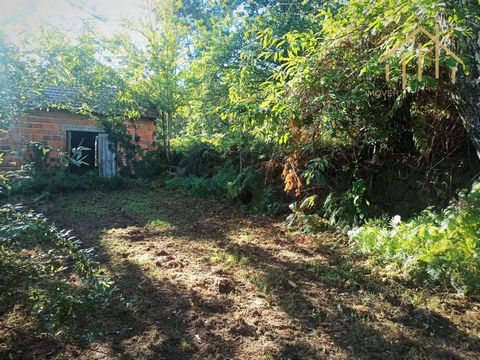 Stone house with land, in São Pedro do Sul Fantastic stone house with 2 floors to be restored, with 2,500 m2 of land and a haystack in the beautiful parish of São Pedro do Sul. Sunny location and excellent views. The land is in an urban area, and lot...