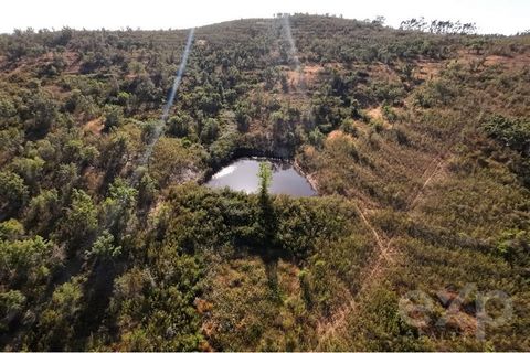 Une opportunité avec l’aide financière de l’EU Turismo !! Cette propriété fait actuellement l’objet d’un projet approuvé pour des permis de construction supplémentaires.  Cette belle propriété composée de 65 hectares, avec la possibilité de construir...