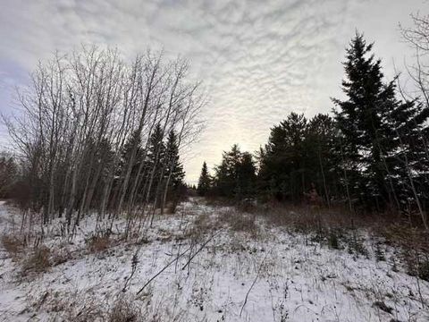 Beautiful Country Acreage with power!! Only minutes away from beautiful Lac La Biche and the village of Plamondon, this is the perfect place for your RV or new home! Surrounded by mature trees, approximately 1 acre of the property has been cleared. T...