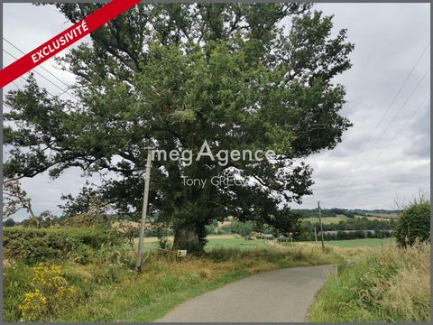 Superbe terrain constructible borné de 4817 m² non viabilisé avec eau et électricité en bordure de route. Étude de sol G1 réalisé. Proximité d'Aignan, Plaisance du Gers et Nogaro. A 1h45 de l'Océan. A 1h30 des Pyrénées. A 50 km de Tarbes,Pau,Hauch et...