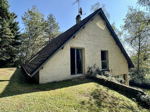 photo no. 2