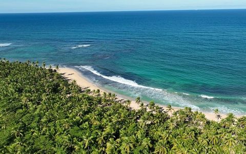 This new venture is located between Bávaro and Miches, the most recent and important TOURIST DESTINATION IN THE DOMINICAN REPUBLIC, which is in its moment of sustained development with 3 hotels already in activity, another 3 under construction and mo...