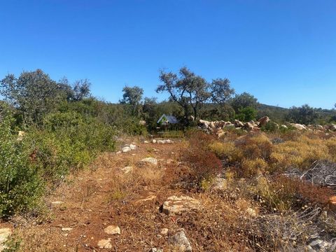 Terreno rustico | Loulé (São Clemente) Terreno rustico con una superficie di 17693m2, situato a pochi minuti dal centro della città di Loulé, in una zona molto tranquilla e bella con alcuni vicini. Il terreno è pianeggiante, piantumato a carrubi e ul...