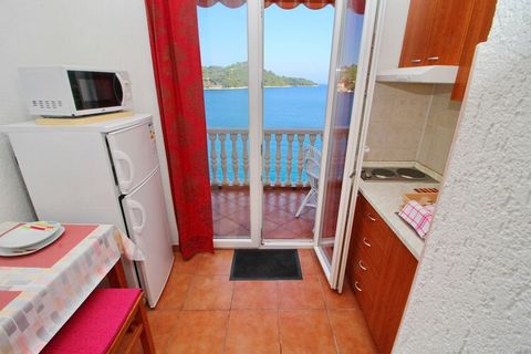 Apartments Filipović are located in Sobra and it offers you the perfect spot to relax and enjoy your vacation with family and friends. Luggage storage is possible prior check in and after check out, so you can explore the island a little more before ...