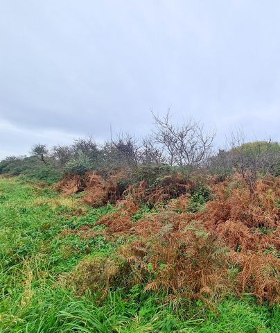 CROZON, secteur Kergolezec, idéalement situé à proximité de la plage de Morgat et du Bois du Kador, Venez découvrir ce terrain de 888m² environ situé en zone naturelle (ne peut être bâti). Il n'est pas viabilisé: ni eau, ni électricité, ni assainisse...