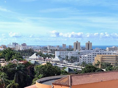 Luminoso monolocale in vendita nel complesso Florida Park, nella zona residenziale di San Eugenio Alto, Costa Adeje. Questo monolocale di 52 m² viene venduto arredato e attrezzato. È diviso in una cucina americana, 1 bagno e un ampio soggiorno con du...