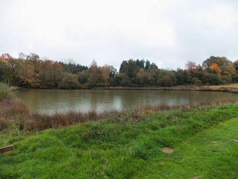 photo no. 5