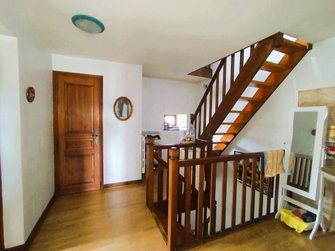 photo no. 9