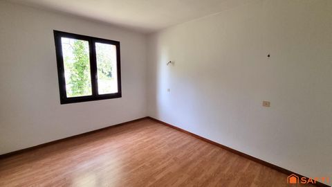 photo no. 12