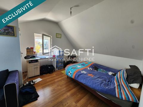 photo no. 12