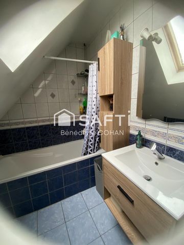 photo no. 11