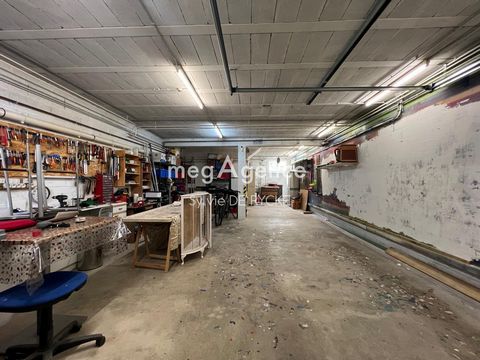 photo no. 16