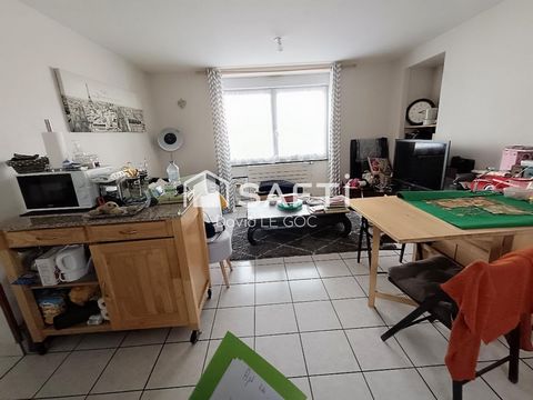 photo no. 12