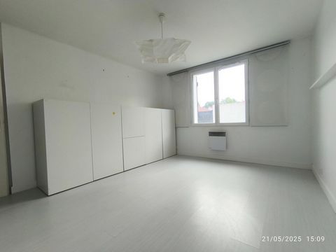 photo no. 7