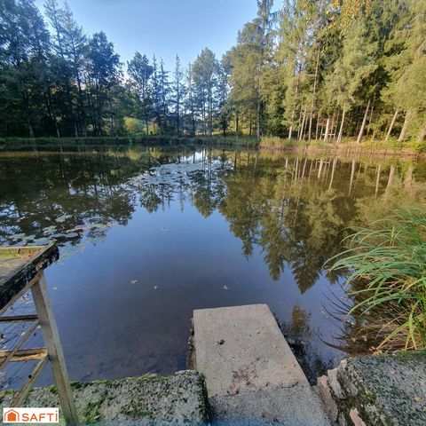 photo no. 4
