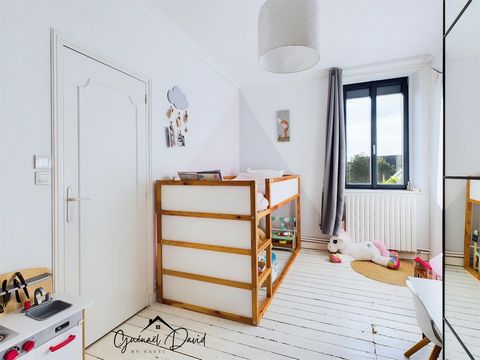 photo no. 12