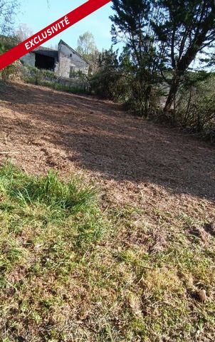 photo no. 11