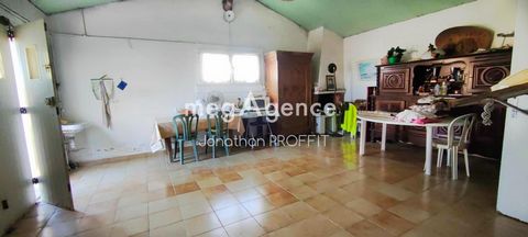 photo no. 13