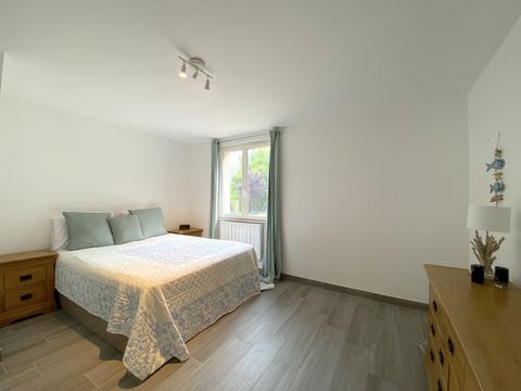 photo no. 12