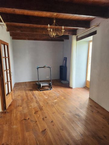 photo no. 12