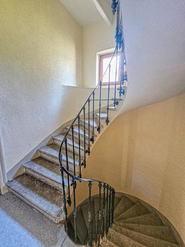 photo no. 6