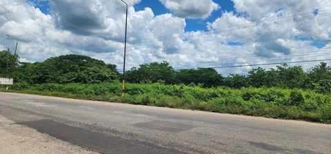 A great development opportunity awaits in Clarendon! Showcasing approx. 19 acres (Lot#1) of prime flat development land that is located in Four Paths on the main road of the May Pen By-Pass. This dream property is ideal and ripe for a residential dev...