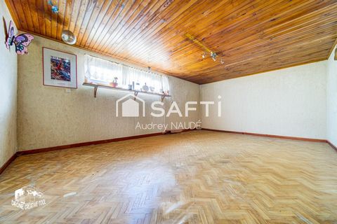 photo no. 11