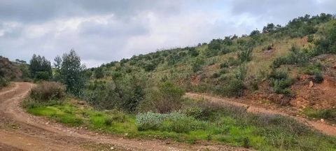 Descubra este magnífico terreno rústico em Monchique, Faro, disponível por 163.000. Com uma vista deslumbrante para a montanha, este espaço oferece uma oportunidade única para quem procura um refúgio natural, rodeado por vegetação exuberante, incluin...