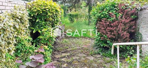 photo no. 12