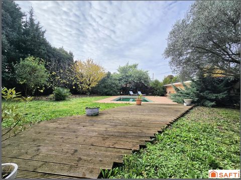 photo no. 8