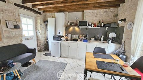 photo no. 19