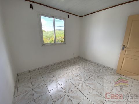 photo no. 14
