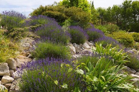 Nestled on the edge of Camplong village in the Haut-Languedoc Nature Park, this charming 4-bedroom villa accommodates up to 10 guests—perfect for families seeking nature and comfort. The spacious garden, private pool, and boules court offer relaxatio...
