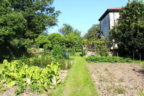 photo no. 16