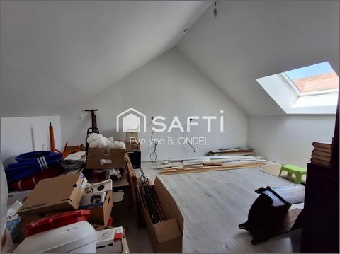 photo no. 12
