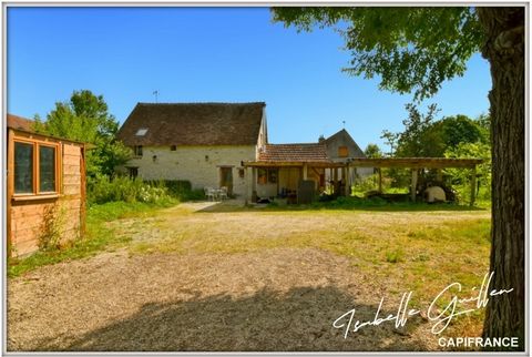 Propriete à vendre 8 pièces TOUCHAY (18)